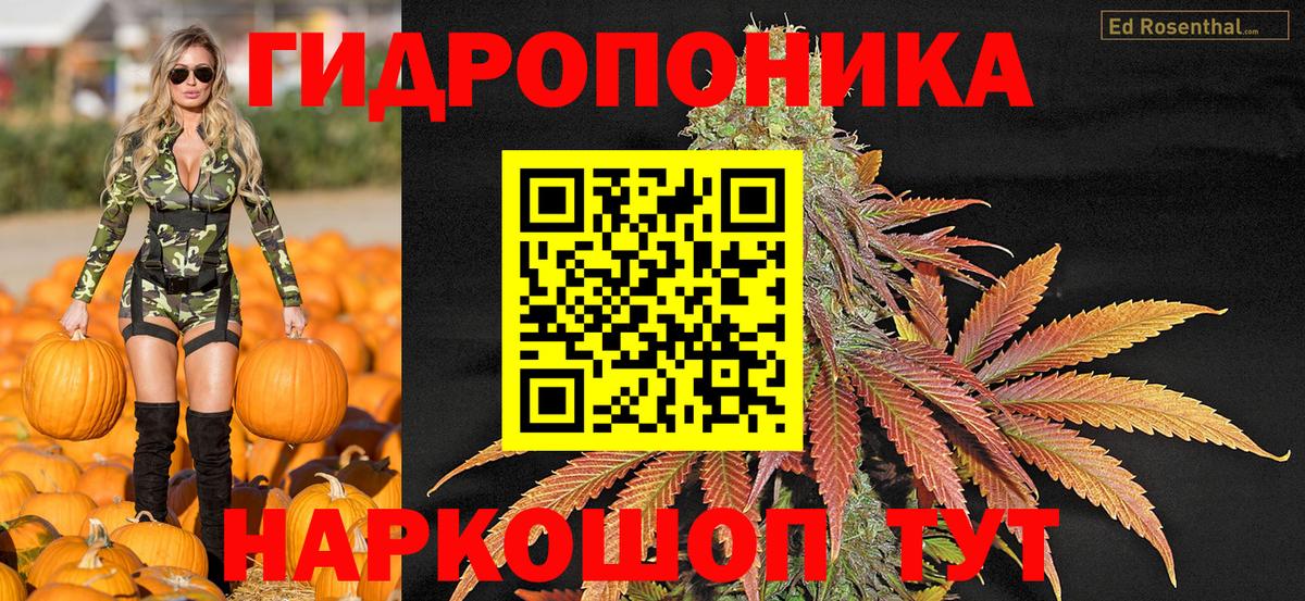 Конопля конопля  Бошки Шишки семена  Кизляр  Вход с VPN  Бошки марихуана план 